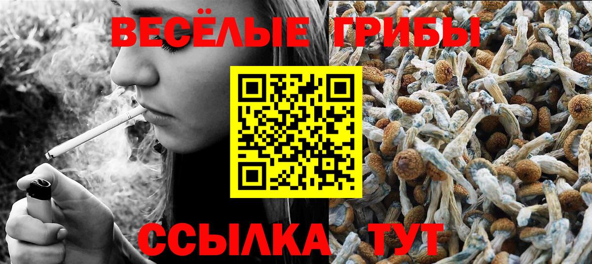 Псилоцибиновые грибы прущие грибы Ялуторовск
