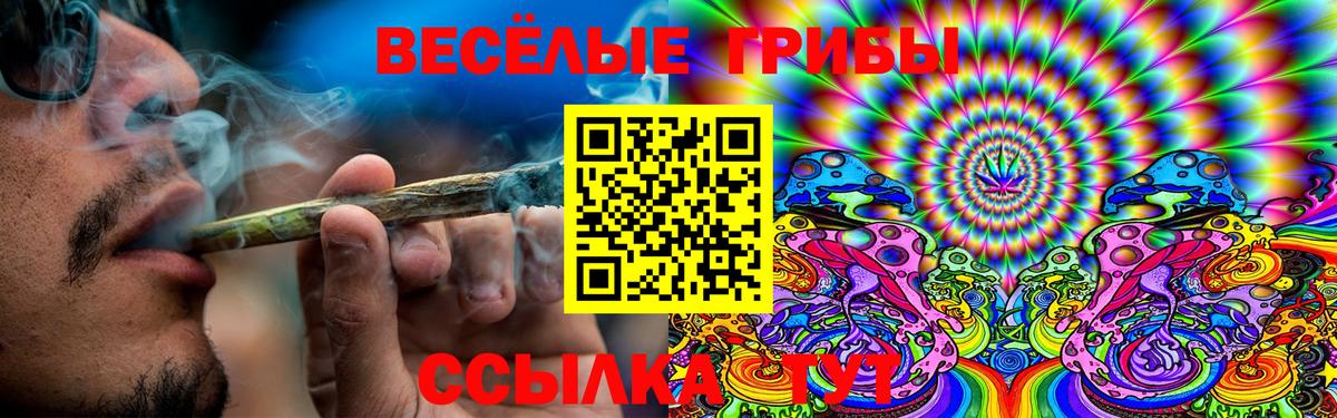 Псилоцибиновые грибы MAGIC MUSHROOMS  Вход с VPN  Ялуторовск 